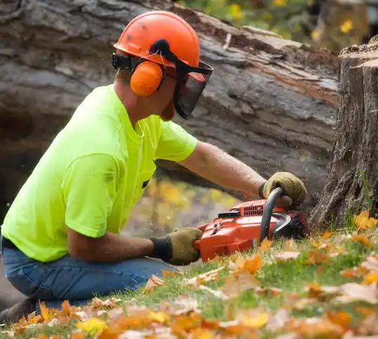 tree services Puxico